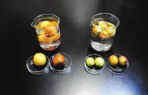 甜蜜素爆料视频,揭秘食品添加剂背后的真相  第3张